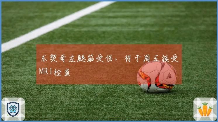 东契奇左腿筋受伤，将于周五接受MRI检查